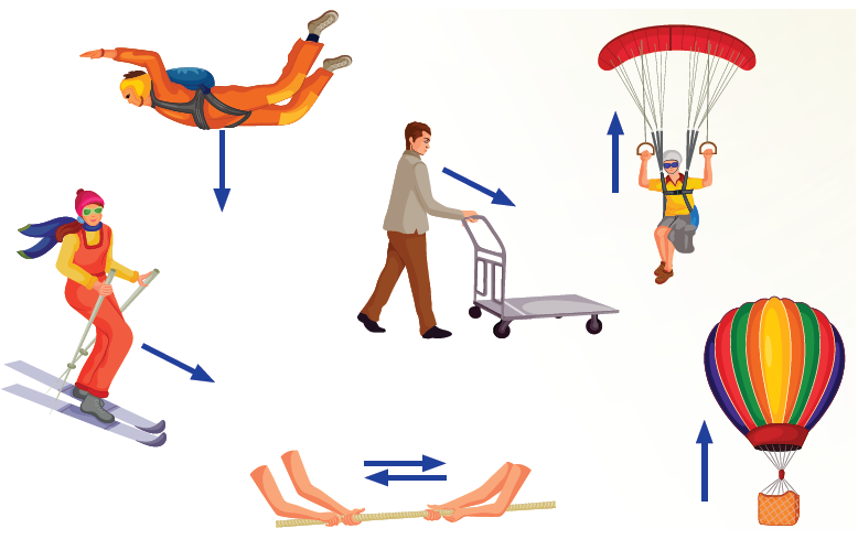 مجموعة من القوى تؤثر في أجسام مختلفة مجموعة من القوى تؤثر في أجسام مختلفة